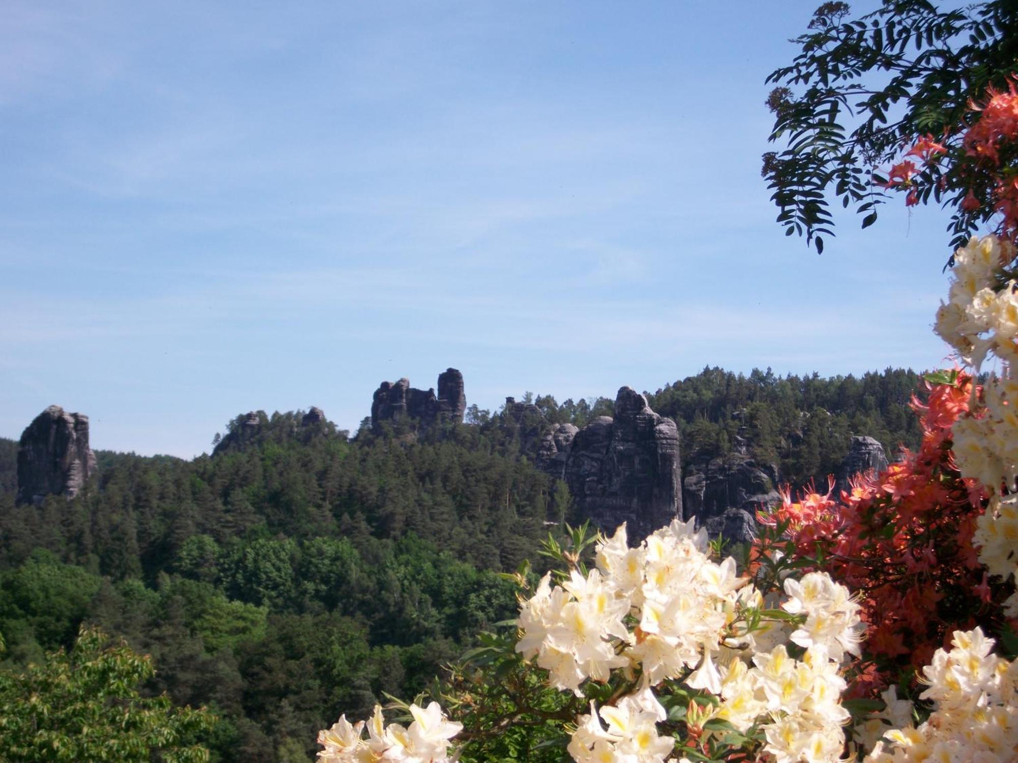 Zum Lilienstein Bad Schandau
