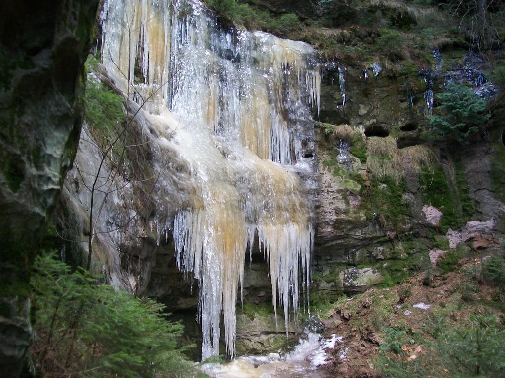 Zum Lilienstein Bad Schandau