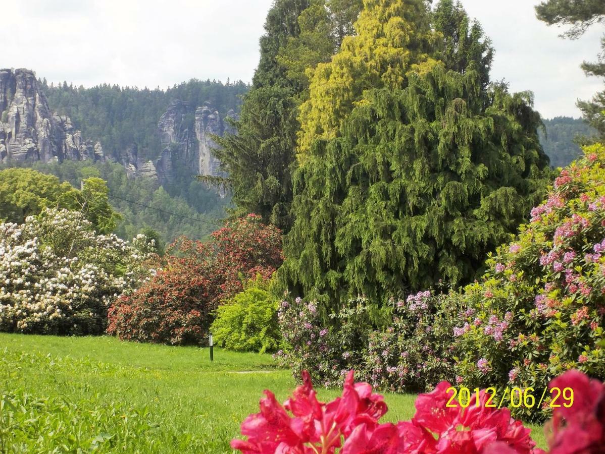 Apartment Zum Lilienstein *